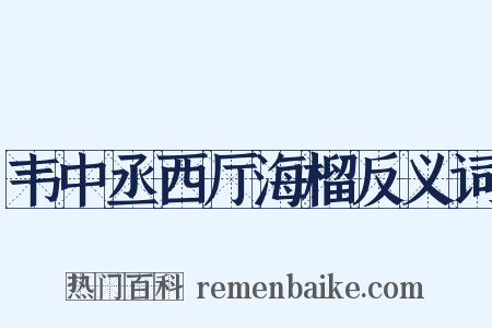 韦中丞西厅海榴反义词是什么意思的图片